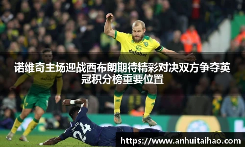 诺维奇主场迎战西布朗期待精彩对决双方争夺英冠积分榜重要位置